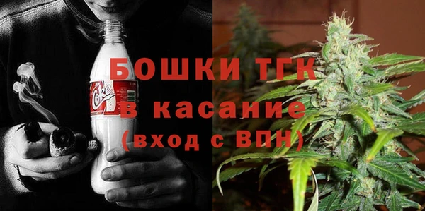 гидра Семёнов