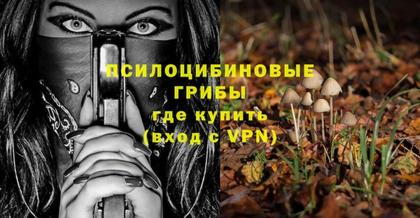 винт Весьегонск