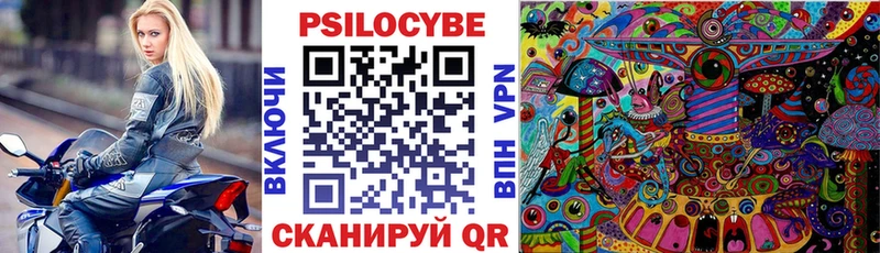 как найти   Биробиджан  Псилоцибиновые грибы GOLDEN TEACHER 
