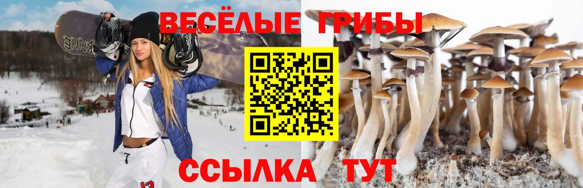 купить закладку  Вход с VPN  Биробиджан  Псилоцибиновые грибы MAGIC MUSHROOMS 